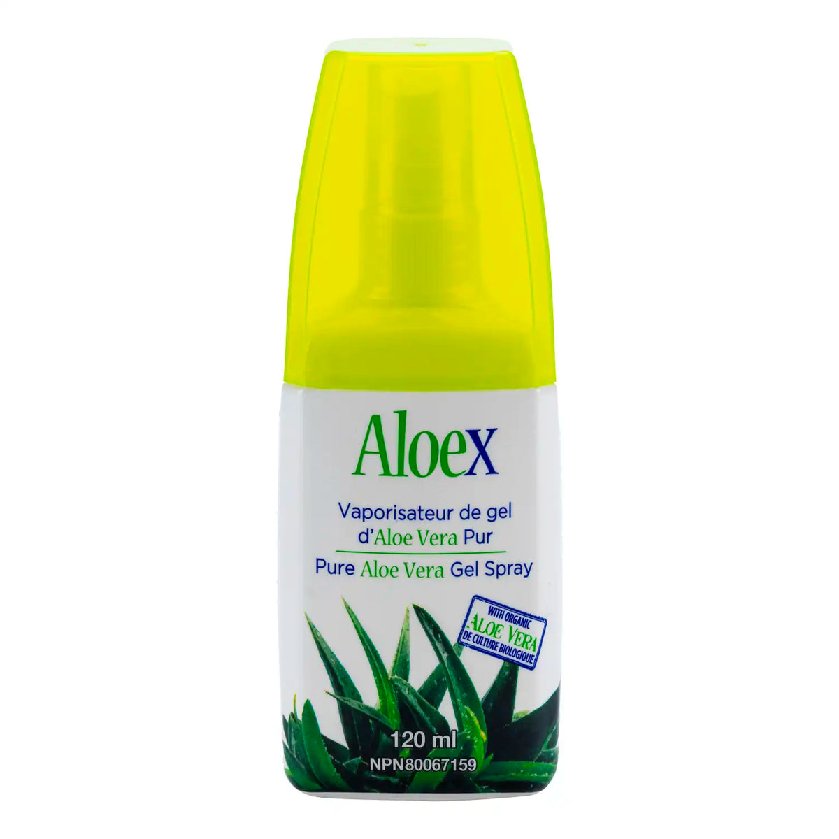 Aloe Vera topical gel spray 120ml – Aloex