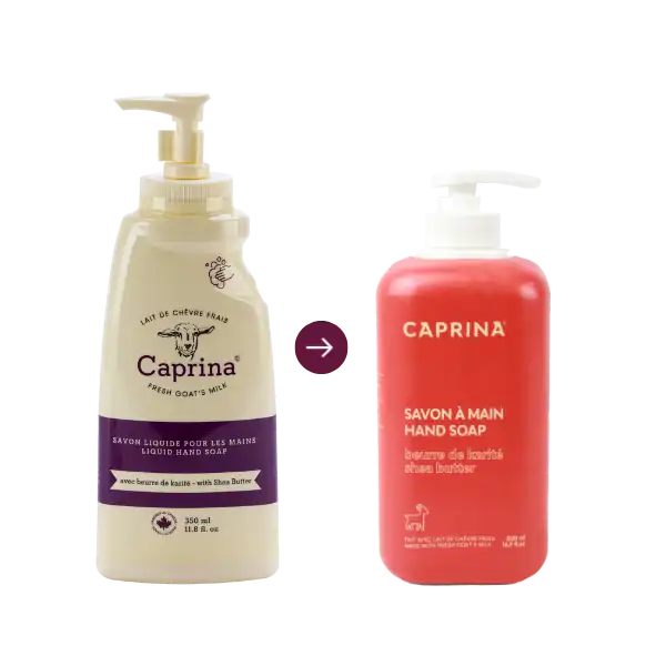 Liquid hand soap with fresh goat's milk, shea butter 500ml – Caprina