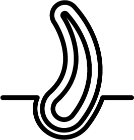Volumizing