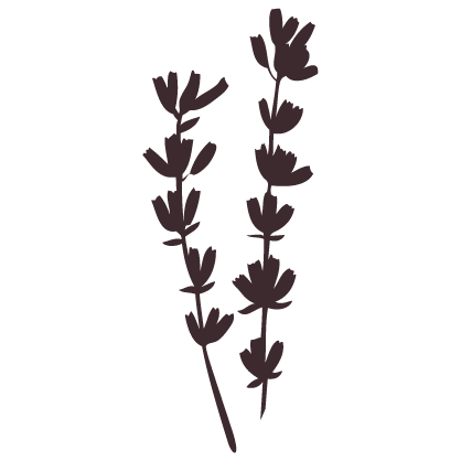 Lavender